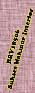 BRV18506